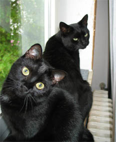 Lissi und Peppi