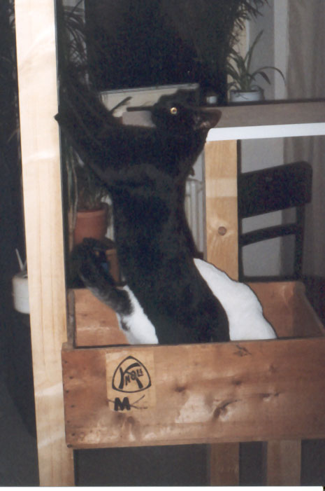 Peppi und Sammy