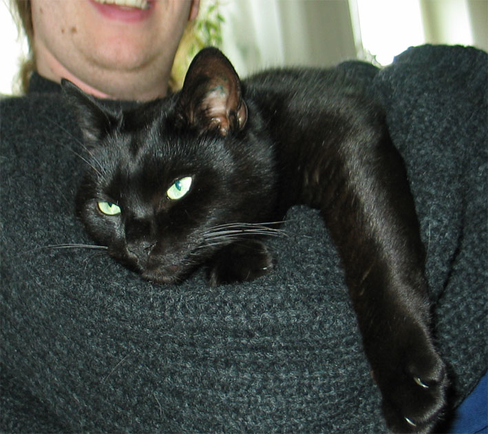 Peppi