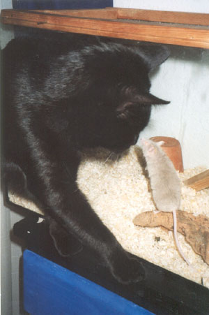 Peppi und Konstantin