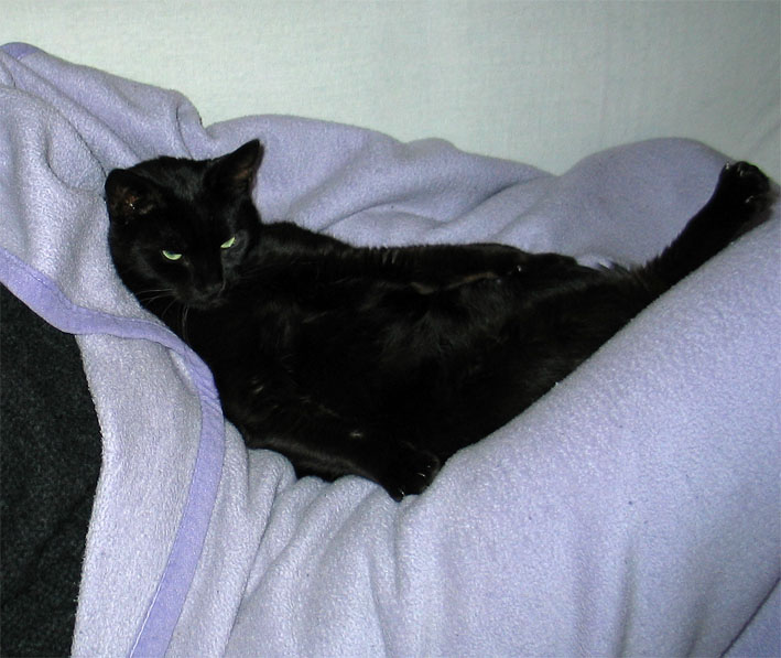 Peppi