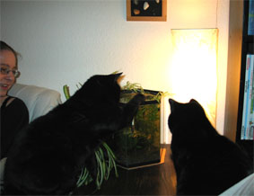 Peppi und Lissi
