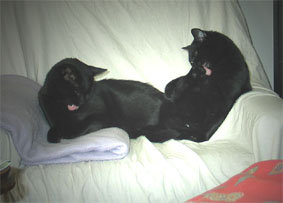 Peppi und Lissi