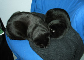 Peppi und Lissi